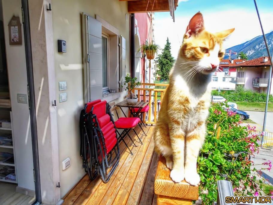 Antica Casa Alboletta - Appartamento Frida Kahlo Riva del Garda Luaran gambar